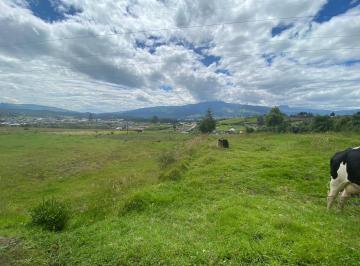 Terreno / Lote · 5000m² · Terreno en Alog
