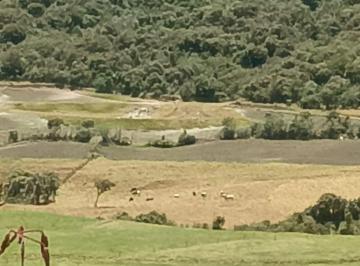 Terreno / Lote , Cotacachi · Se Vende Hacienda en El Sector de Intag en Cotacachi en $