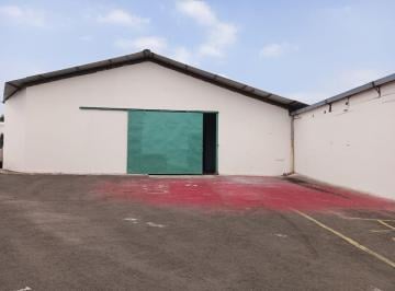 Bodega-Galpón , Portoviejo · Alquilo Amplias Bodegas, Ideal Para Empresas