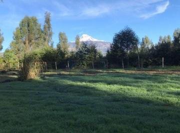 Terreno / Lote · 4800m² · Venta Terreno en Lasso. Inf. Cbr Carla del Pino