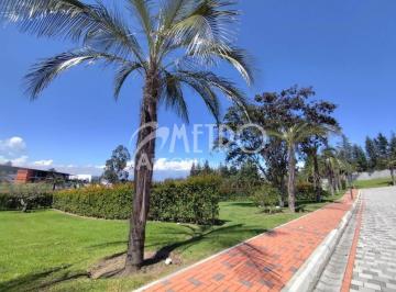 Terreno / Lote , Quito · Terreno en Venta de 544 m² en Puembo