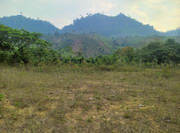 Hacienda-Quinta · 2476500m² · 6 Habitaciones · 1 Estacionamiento · Venta Finca La Tranca Manabí Para Turismo, 247 Ha, P. C.