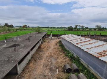 Terreno / Lote , Naranjal · Terreno Agrícola en Venta 8.5 Ha Al Pie de Carretera - Naranjal, Sector El Mango