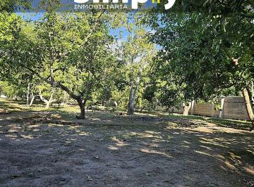 Terreno / Lote , Quito · Terreno de 4000 m², Cerramiento, Totalmente Plano, con Agua de Riego, y 100 Plantas de Aguacate