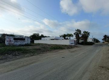 Terreno / Lote , Salinas · Vendo Terreno Esquinero a Tan Solo 2 Calles de La Playa en La Milina Salinas
