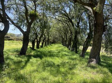 Terreno / Lote · 7091m² · Terreno de Venta en Checa Urbanización de Lujo