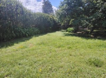 Hacienda-Quinta 6155m² Venta Puembo · Vendo Quinta en Puembo Sector La Palma Polo Club