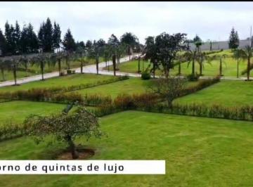 Terreno / Lote , Quito · Terrenos de Venta Puembo Alto/ Cerca Colegio Einstein, Americano