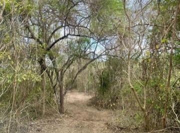Terreno / Lote  Alquiler USD 350 · Terreno Para Sembríos 9 Hectáreas Km²6 Vía a La Costa C. Alvarez