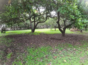 Terreno / Lote · 330m² · Terreno de Venta en Puembo, Sector Polo, Amplia Plusvalía, Buen Precio, Plano
