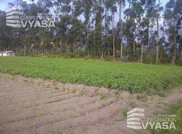 Terreno / Lote · 64000m² · Tababela, Terreno de Venta Junto Al Nuevo Aeropuerto Mariscal Sucre