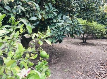 Terreno / Lote · 1000m² · Venta Terreno Guayllabamba Plano 1.000 m² Cerca Al Zoológico