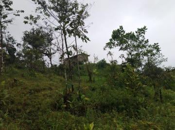 Terreno / Lote , Cotacachi · 40 Hectáreas de Venta – Paraíso Natural, Cotacachi, Manduriacu, $5000 C/ Ha