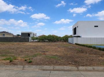 Terreno / Lote · 440m² · Venta Terreno Esq 440 m² Condado Vicolinci. Av Leon Febres C. (Vicszo)