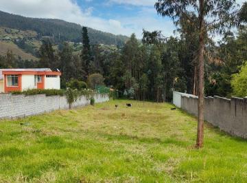 Terreno / Lote · 3383m² · Venta Terreno Plano Sector Centro La Merced