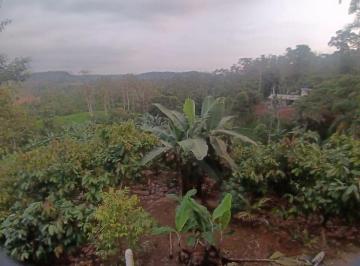 Terreno / Lote , Puerto Quito · Puerto Quito, Vendo Una Hectarea de Terreno, Casa, Sembrios, Seguridad