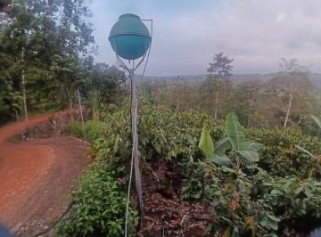 Terreno / Lote , Puerto Quito · Vendo Una Hectarea de Terreno, Casa, Sembrios, Puerto Quito