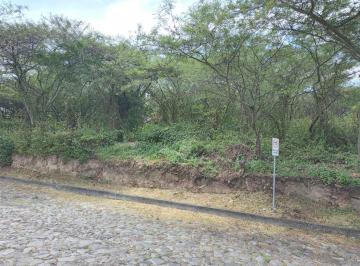 Terreno / Lote · 925m² · Terrenvive en La Viña Alta – Terreno Residencial en Urbanización Privada | Tumbacoo