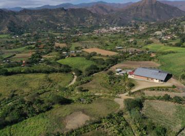Terreno / Lote · 115m² · Venta. Terreno de 3,7 Hectáreas Ubicado en La Granja, Malacatos, Loja