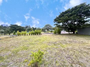 Terreno / Lote · 1383m² · Puembo - Via Marquesina 1383 m² en Venta Terreno Multifamiliar
