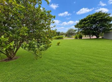 Terreno / Lote · 1250m² · Puembo - Via Marquesina 1.250 m² en Venta Terreno Multifamiliar