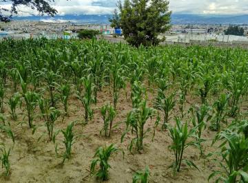 Terreno / Lote · 1290m² · Terreno en San José de Morán