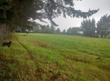 Terreno / Lote , Machachi · Terreno en Venta, Aloag, El Corazón Vía Aloasí