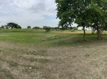Terreno / Lote , Yaguachi · Terreno en Venta Via Al Pan 20,000 m²