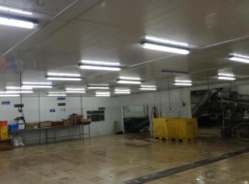 Edificio-Hotel-Fabrica · 3361m² · Venta de Empacadora de Camarones en Durán, 10380 m² G. P
