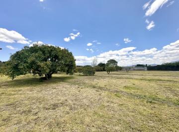 Terreno / Lote · 1425m² · Terreno de Venta Plano en Arrayanes Puembo