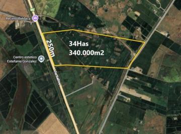 Terreno / Lote , Daule · Venta Terreno 34 Ha Via a Salitre, Km. 14 de Uso Com. - Habit.