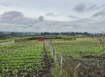 Terreno / Lote , Quito · Vendo Lote de Terreno Yaruqui