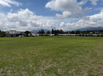 Terreno / Lote , Quito · Puembo Espectacular Terreno Urbanización Privada