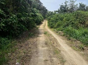 Terreno / Lote · 6300ha · Venta Terreno Cultivo - Hotel Pedernales - Cojimies (Ecuador) 6300 m² Oportunidad