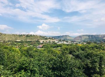 Terreno / Lote · 1300m² · Venta Terreno Guayllabamba 1.300 m² Plano con Aguacates