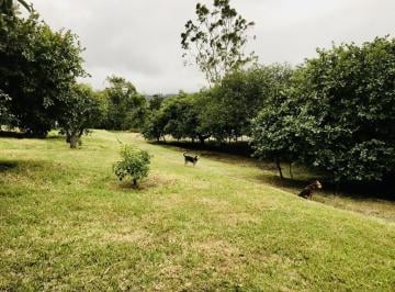 Terreno / Lote · 139m² · 3 Habitaciones · 20 Estacionamientos · Jal. Venta de Terreno Guayllabamba 5.000 m², Abundante Agua y Árboles Frutales