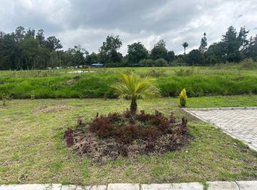 Terreno / Lote , Quito · Vendo Hermosos Terrenos en Puembo Conjunto Cerrado 1.007,63 m²
