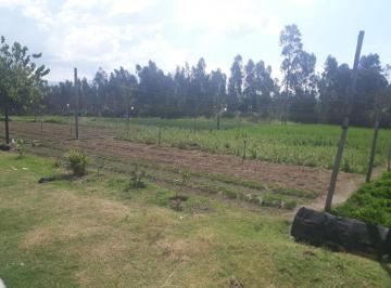 Terreno / Lote , Quito · Vendo Hermoso Terreno Ideal Para Urbanización de 7.280 m² a $150 por Metro en Tababela