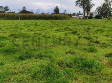 Terreno / Lote · 6192m² · Dos Lotes de Terreno en Venta Parroquia Ascazubi - Cayambe