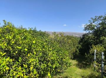 Terreno / Lote , Quito · Gran Oportunidad en Guayllabamba, Hermoso Terreno en Producción de 1000 m²