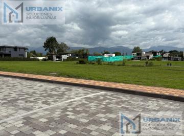 Terreno / Lote · 619m² · Terreno en Puembo