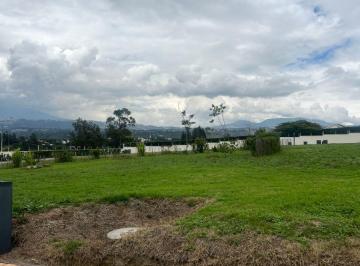 Terreno / Lote en Venta Puembo · Hermoso Terreno Puembo Venta