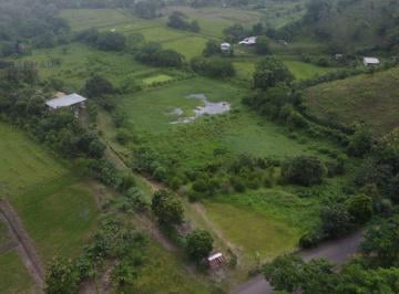 Hacienda-Quinta · 74136m² · Venta Finca Recinto El Guabal Ciudad Calceta, Manabí, 7.4 Hectáreas, P. C.