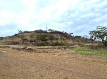 Terreno / Lote · 25322m² · Venta de Terreno Industrial en Parque Industrial Petrillo – Nobol J. Zav