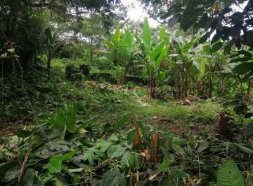 Terreno / Lote , Quito · Terreno en Venta, Pacto, Barrio Mashpi.
