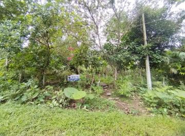 Terreno / Lote , Quito · Terreno en Venta, Pacto, Comunidad Mashpi.