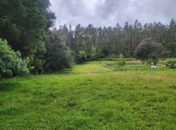 Terreno / Lote , Quito · Vendo Bonito Terreno 5.000 m Suelo Rural con Agua de Riegoyaruqui Sector San Carlos