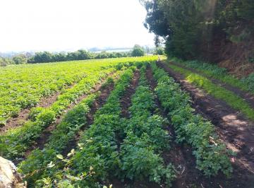Terreno / Lote · 7644m² · Terreno en Venta Aloasi Machachi 7.644 m²