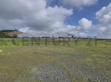 Terreno / Lote · 14576m² · Venta de Macrolote Industrial de Alto Impacto en Petrillo – Nobol J. Zav