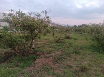 Terreno / Lote , Quito · Vendo Excelente Terreno de 9700 m en Checa, con Todos Los Servicios